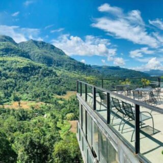 Nuwara Eliya Tea Factory Tour